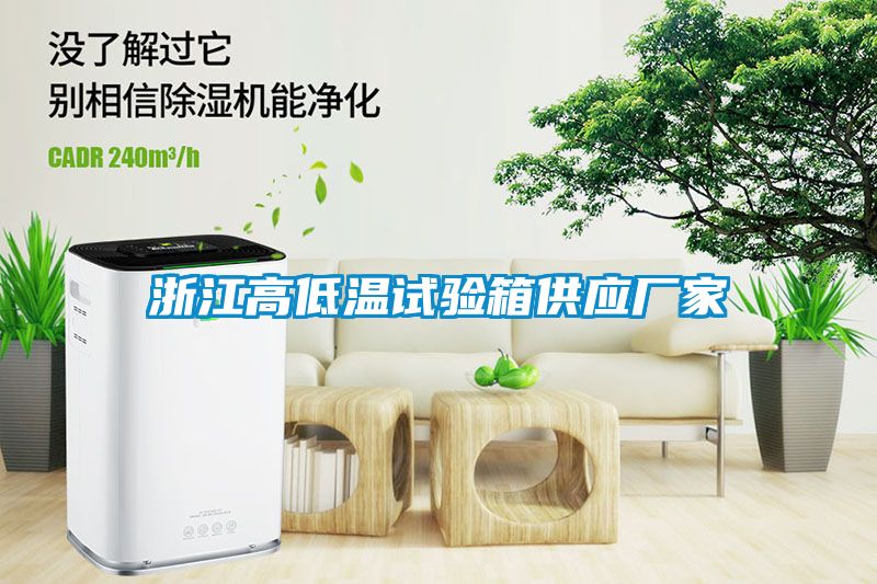 浙江高低溫試驗箱供應(yīng)廠家