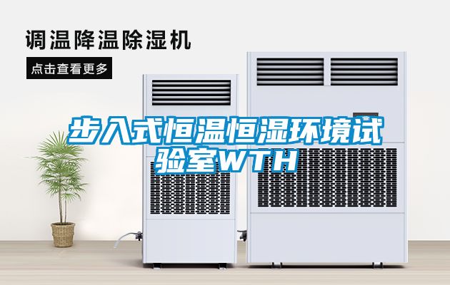 步入式恒溫恒濕環(huán)境試驗室WTH