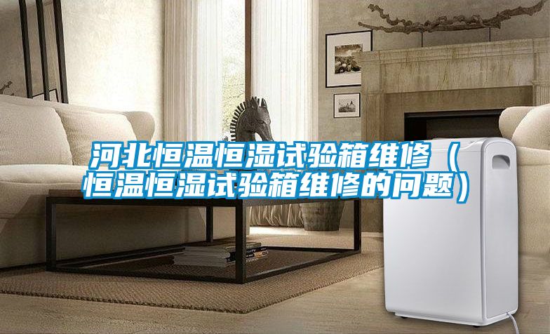 河北恒溫恒濕試驗(yàn)箱維修（恒溫恒濕試驗(yàn)箱維修的問題）