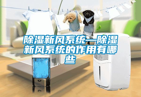 除濕新風(fēng)系統(tǒng)—除濕新風(fēng)系統(tǒng)的作用有哪些