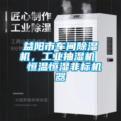 益陽市車間除濕機(jī)，工業(yè)抽濕機(jī)  恒溫恒濕非標(biāo)機(jī)器