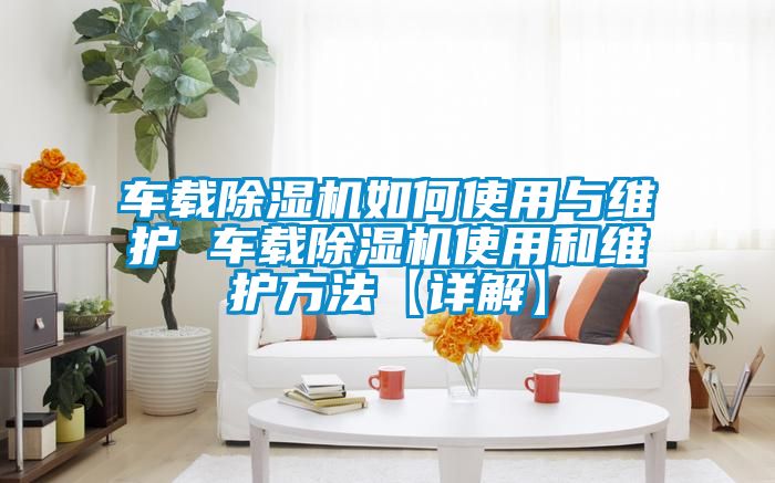 車載除濕機如何使用與維護(hù) 車載除濕機使用和維護(hù)方法【詳解】