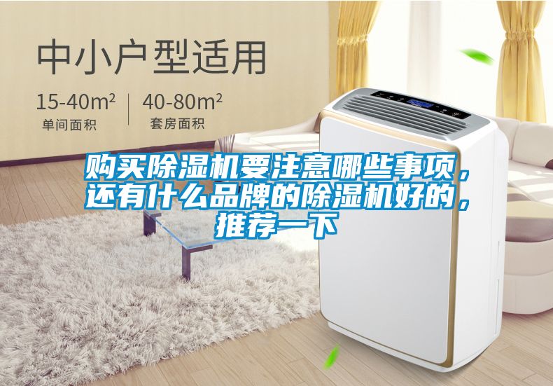 購買除濕機(jī)要注意哪些事項(xiàng)，還有什么品牌的除濕機(jī)好的，推薦一下