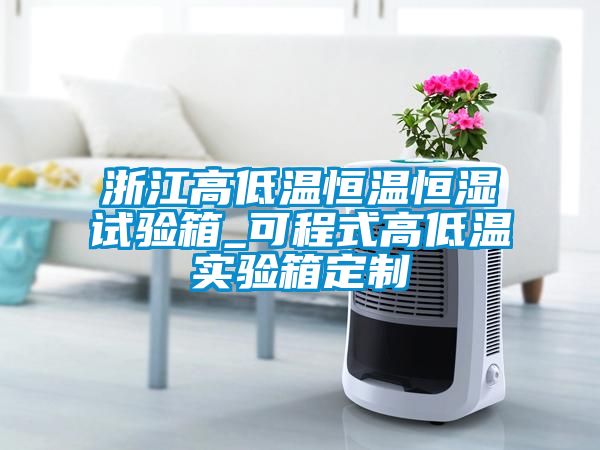 浙江高低溫恒溫恒濕試驗(yàn)箱_可程式高低溫實(shí)驗(yàn)箱定制