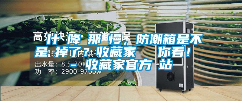 為什麼降濕那麼慢，防潮箱是不是壞掉了？收藏家實測給你看！ - 收藏家官方網(wǎng)站