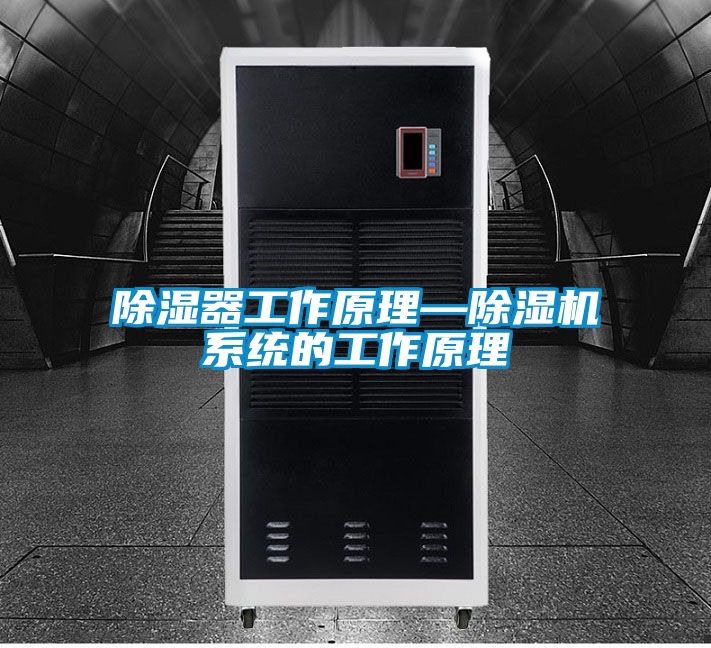 除濕器工作原理—除濕機系統(tǒng)的工作原理