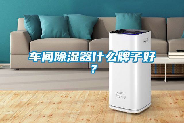 車間除濕器什么牌子好？