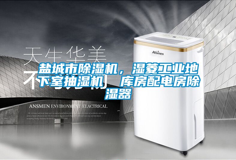 鹽城市除濕機，濕菱工業(yè)地下室抽濕機  庫房配電房除濕器