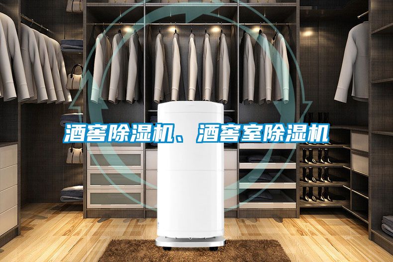 酒窖除濕機(jī)、酒窖室除濕機(jī)