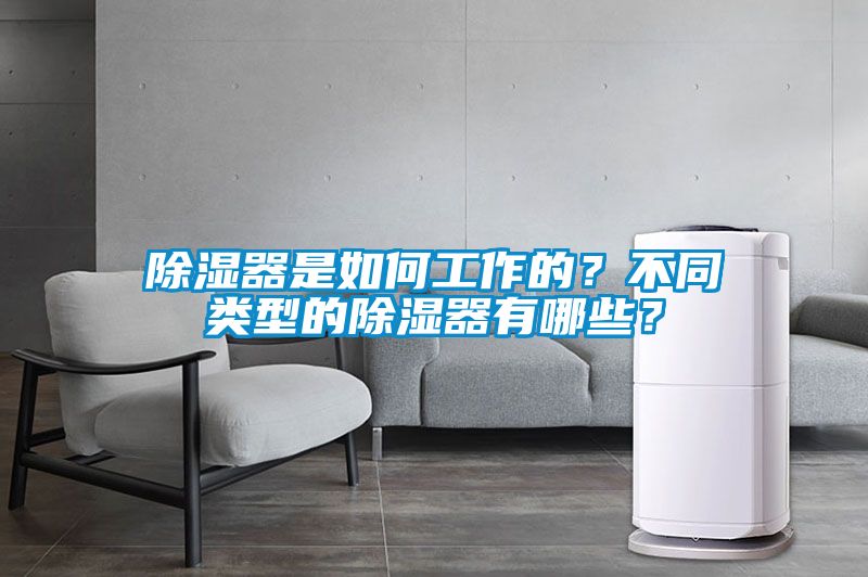除濕器是如何工作的？不同類型的除濕器有哪些？