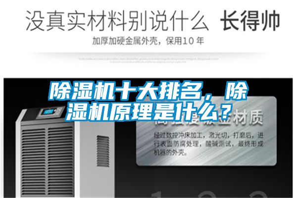 除濕機(jī)十大排名，除濕機(jī)原理是什么？