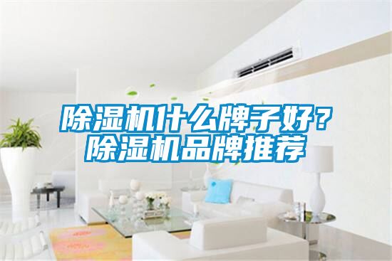 除濕機(jī)什么牌子好？除濕機(jī)品牌推薦