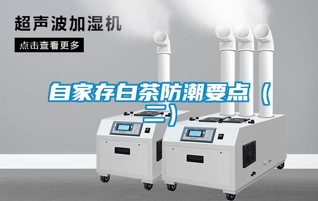 自家存白茶防潮要點(diǎn)（二）