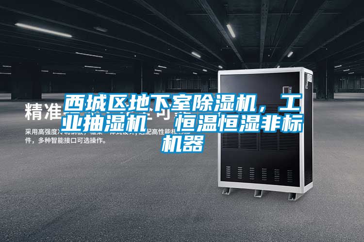 西城區(qū)地下室除濕機(jī)，工業(yè)抽濕機(jī)  恒溫恒濕非標(biāo)機(jī)器