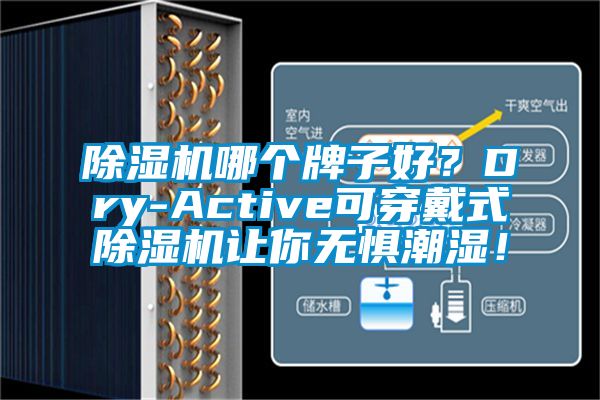 除濕機哪個牌子好？Dry-Active可穿戴式除濕機讓你無懼潮濕！
