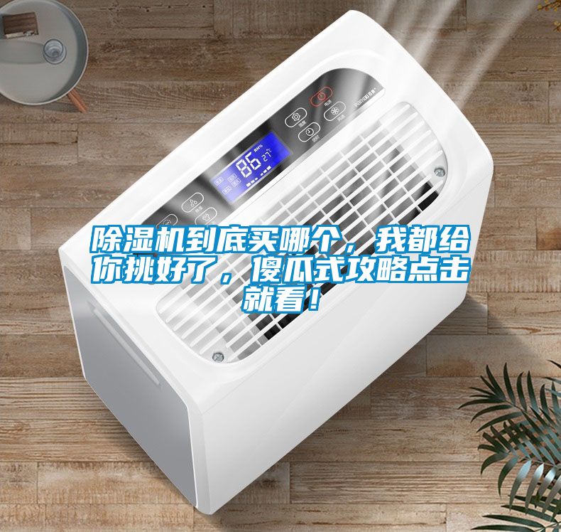除濕機到底買哪個，我都給你挑好了，傻瓜式攻略點擊就看！