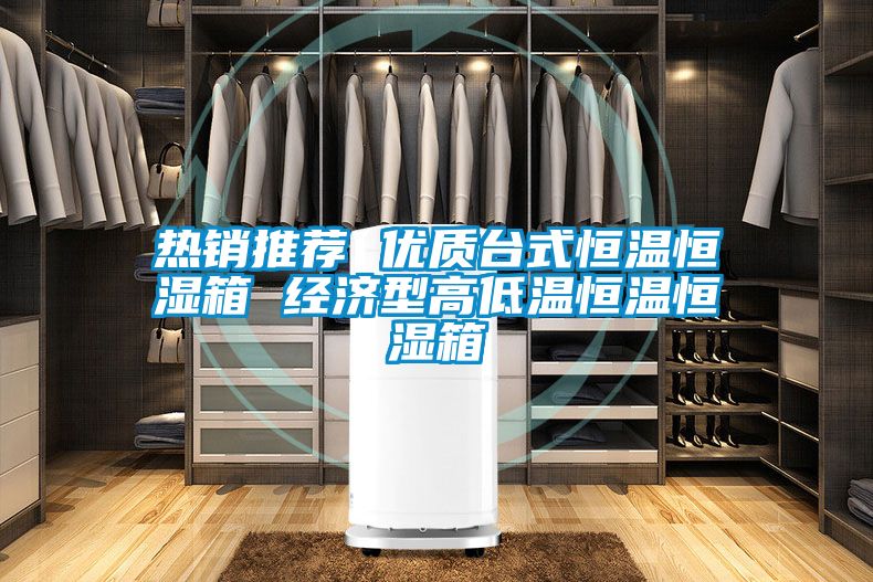 熱銷(xiāo)推薦 優(yōu)質(zhì)臺(tái)式恒溫恒濕箱 經(jīng)濟(jì)型高低溫恒溫恒濕箱