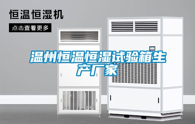 溫州恒溫恒濕試驗(yàn)箱生產(chǎn)廠家