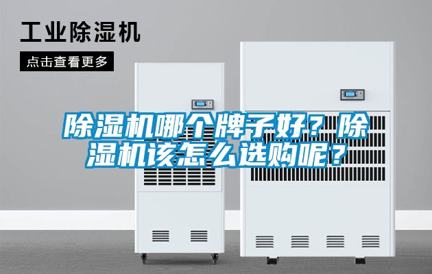 除濕機(jī)哪個(gè)牌子好？除濕機(jī)該怎么選購(gòu)呢？