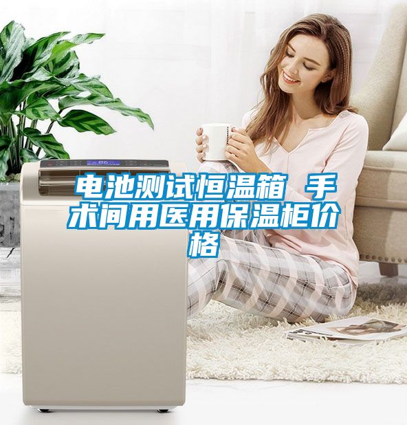 電池測試恒溫箱 手術(shù)間用醫(yī)用保溫柜價(jià)格