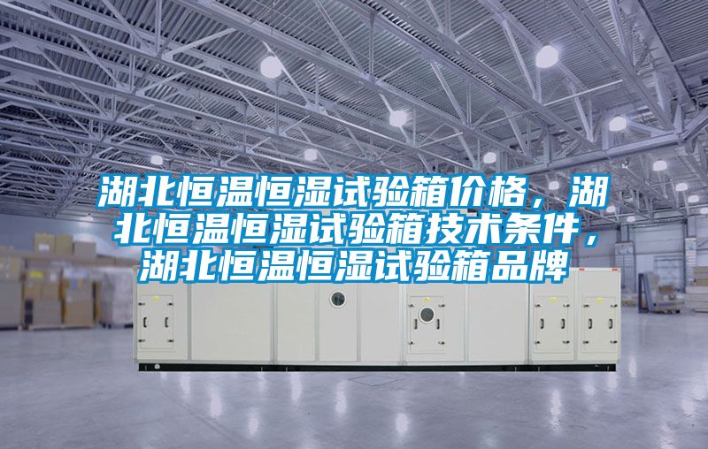 湖北恒溫恒濕試驗箱價格，湖北恒溫恒濕試驗箱技術(shù)條件，湖北恒溫恒濕試驗箱品牌
