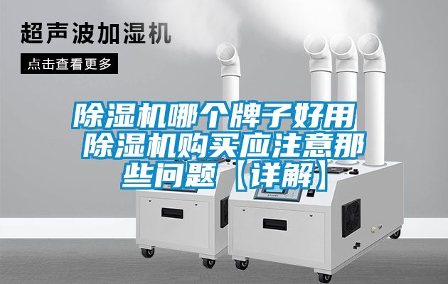 除濕機(jī)哪個(gè)牌子好用 除濕機(jī)購買應(yīng)注意那些問題【詳解】