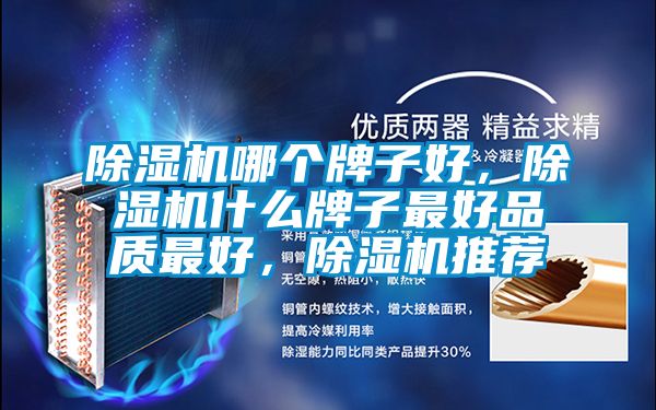 除濕機哪個牌子好，除濕機什么牌子最好品質最好，除濕機推薦