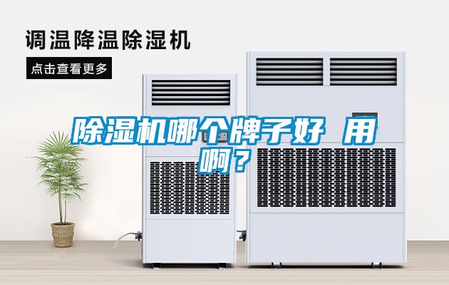 除濕機哪個牌子好 用啊？