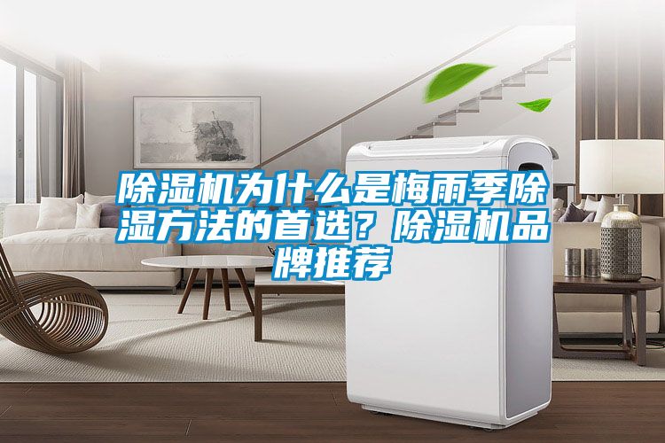 除濕機為什么是梅雨季除濕方法的首選？除濕機品牌推薦