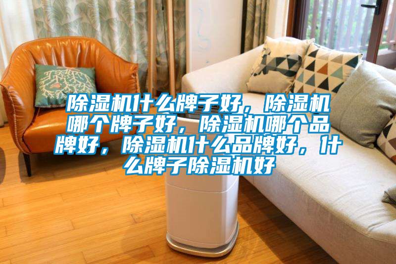 除濕機(jī)什么牌子好，除濕機(jī)哪個(gè)牌子好，除濕機(jī)哪個(gè)品牌好，除濕機(jī)什么品牌好，什么牌子除濕機(jī)好