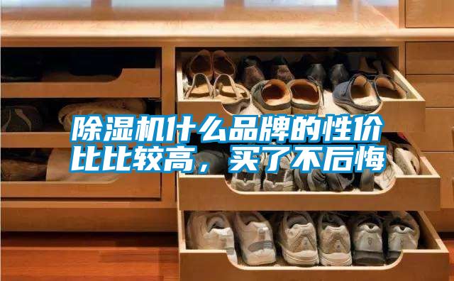 除濕機(jī)什么品牌的性價比比較高，買了不后悔