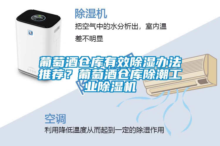 葡萄酒倉庫有效除濕辦法推薦？葡萄酒倉庫除潮工業(yè)除濕機(jī)