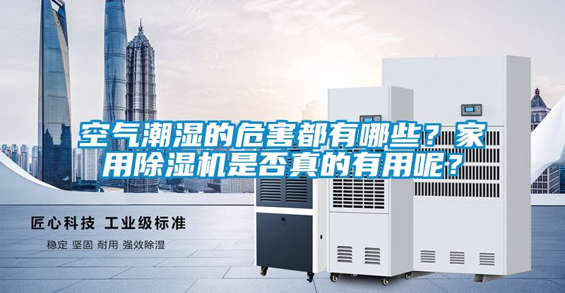 空氣潮濕的危害都有哪些？家用除濕機是否真的有用呢？