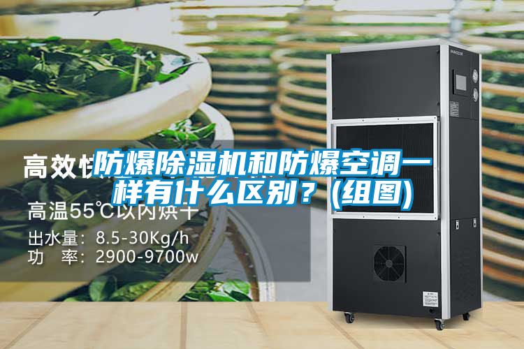 防爆除濕機(jī)和防爆空調(diào)一樣有什么區(qū)別？(組圖)