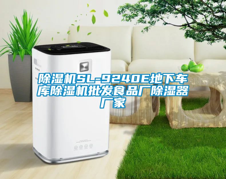 除濕機(jī)SL-9240E地下車庫(kù)除濕機(jī)批發(fā)食品廠除濕器廠家