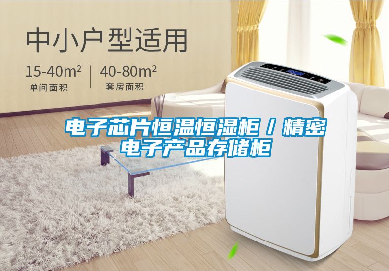 電子芯片恒溫恒濕柜／精密電子產(chǎn)品存儲柜