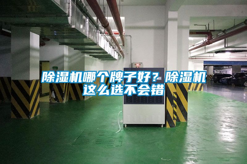 除濕機(jī)哪個(gè)牌子好？除濕機(jī)這么選不會(huì)錯(cuò)