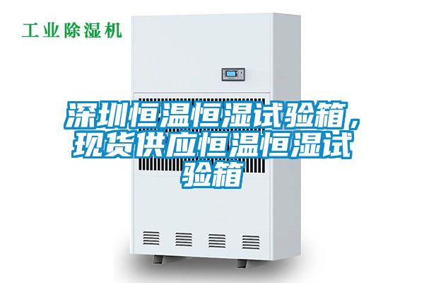 深圳恒溫恒濕試驗(yàn)箱，現(xiàn)貨供應(yīng)恒溫恒濕試驗(yàn)箱