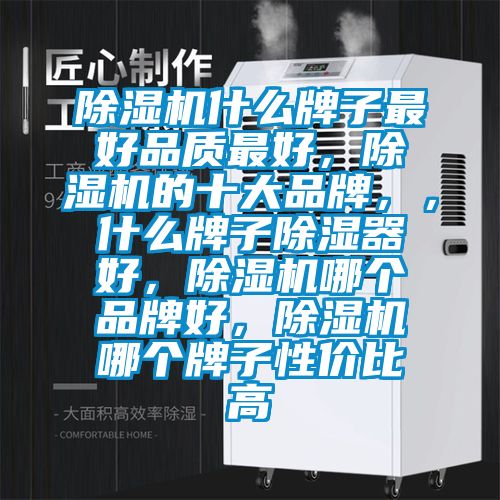 除濕機(jī)什么牌子最好品質(zhì)最好，除濕機(jī)的十大品牌，，什么牌子除濕器好，除濕機(jī)哪個品牌好，除濕機(jī)哪個牌子性價比高