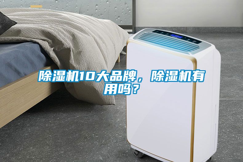 除濕機10大品牌，除濕機有用嗎？