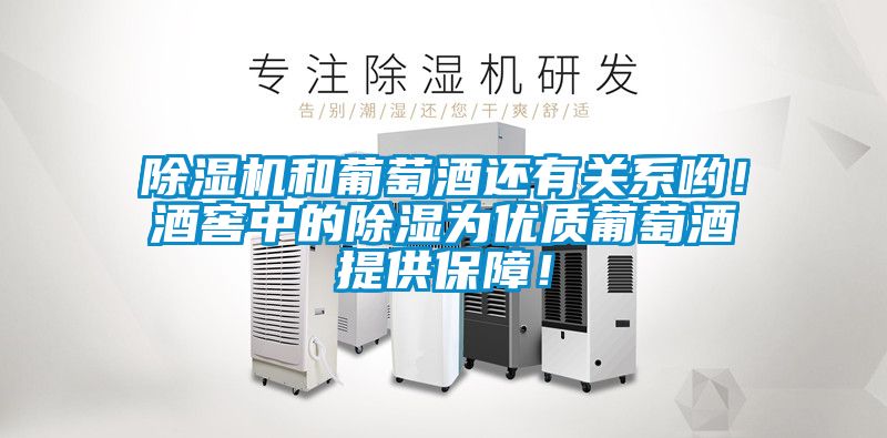 除濕機(jī)和葡萄酒還有關(guān)系喲！酒窖中的除濕為優(yōu)質(zhì)葡萄酒提供保障！
