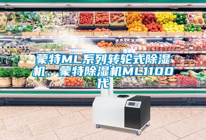 蒙特ML系列轉輪式除濕機、蒙特除濕機ML1100代