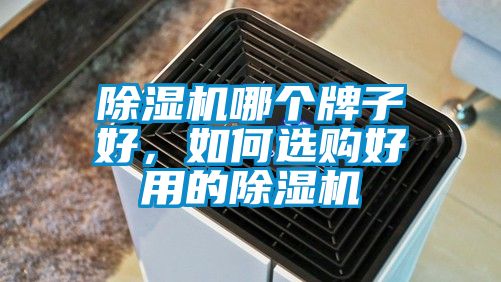 除濕機哪個牌子好，如何選購好用的除濕機