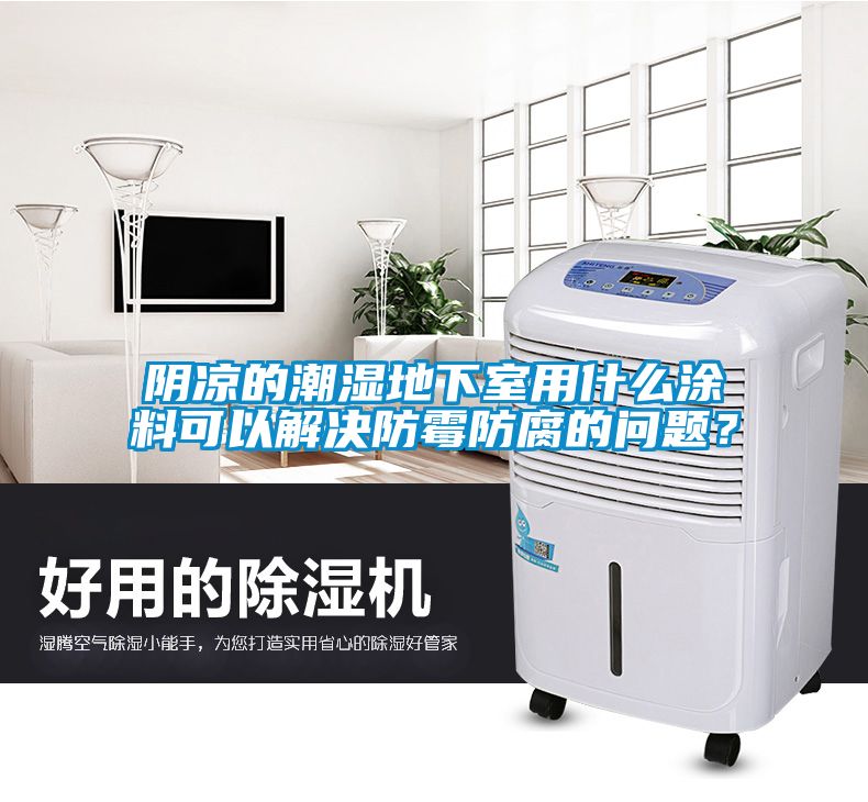 陰涼的潮濕地下室用什么涂料可以解決防霉防腐的問題？