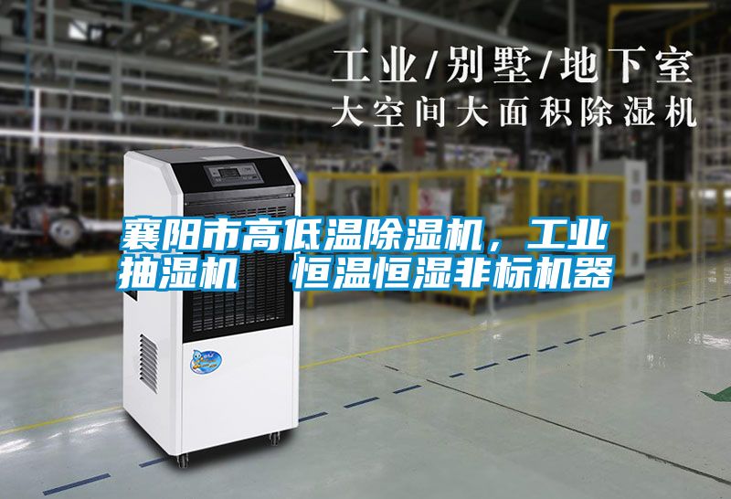 襄陽(yáng)市高低溫除濕機(jī)，工業(yè)抽濕機(jī)  恒溫恒濕非標(biāo)機(jī)器