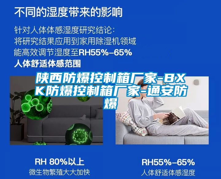 陜西防爆控制箱廠(chǎng)家-BXK防爆控制箱廠(chǎng)家-通安防爆
