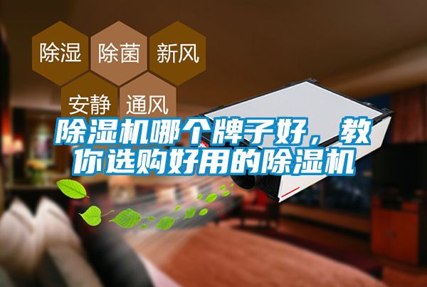 除濕機哪個牌子好，教你選購好用的除濕機