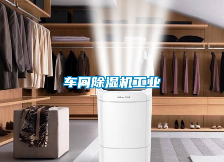 車(chē)間除濕機(jī)工業(yè)