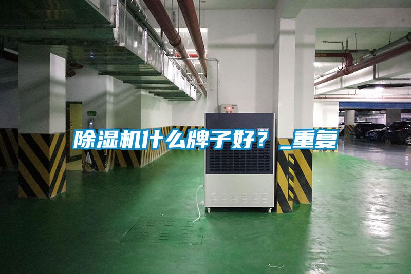 除濕機(jī)什么牌子好？_重復(fù)