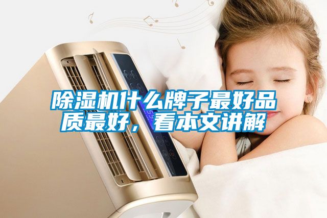 除濕機(jī)什么牌子最好品質(zhì)最好，看本文講解